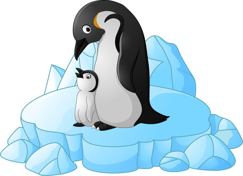 adult Penguin with its chick