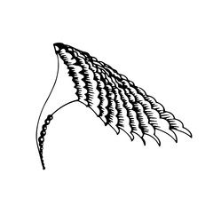hand drawn wing with decorate graphic elements Vector Illustratition