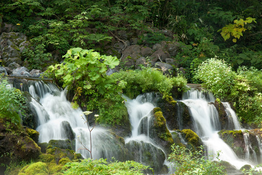 北海道京極町の羊蹄山の伏流水の湧き出し