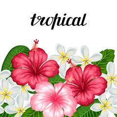 Seamless border with tropical flowers hibiscus and plumeria. Background made without clipping mask. Easy to use for backdrop, textile, wrapping paper