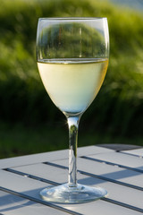 Glas of white wine 