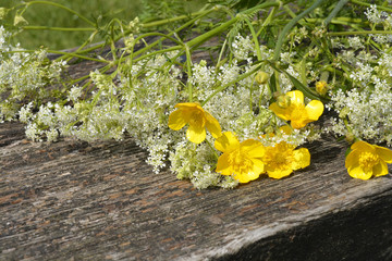 Close up of old wooden bench in the parc with fieldflowers as buttercups and whistling herb in the spring

