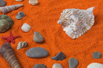 Beautiful background of colored sand, shells, stones and place f