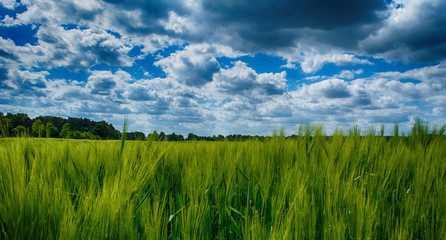 Obraz premium Blick in die Wolken