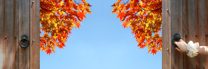 秋　バナー　紅葉