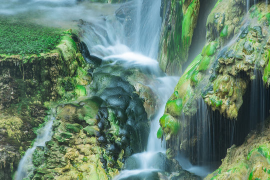 yosunlu ve kire&ccedil;li şelale ortamı