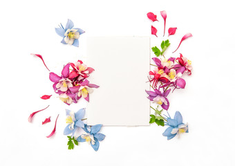 Columbines flower frame empty sketchbook Flat lay