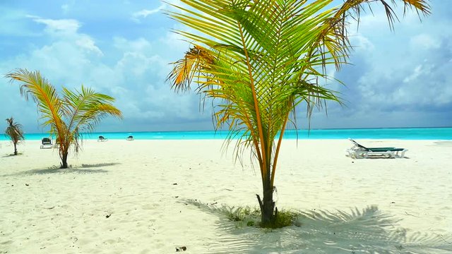 Beautiful tropical beach and sea in maldives island