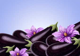 Delicious and beautiful background with eggplant. The flowers of an eggplant.