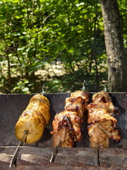 пикник в лесу 