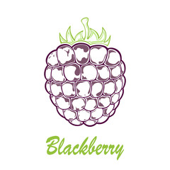 Blackberry icon