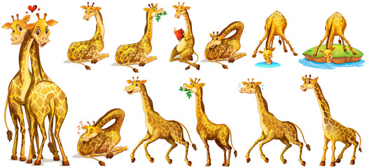 Set of giraffe in different actions - obrazy, fototapety, plakaty