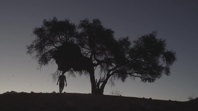 Soir&eacute;e Namibie