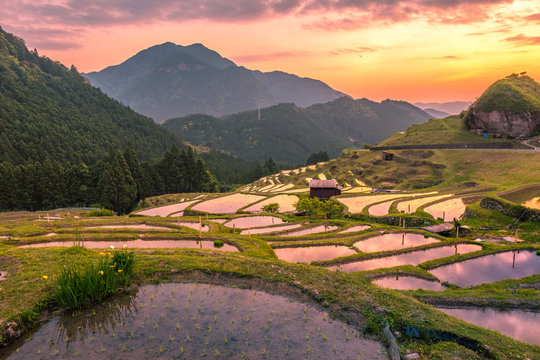 2 046 Best 棚田百選 Images Stock Photos Vectors Adobe Stock