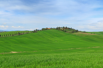Typical Tuscany landscape springtime