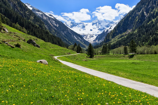 Path through spring mountain landscape near Stillup, Austria, Tyrol.