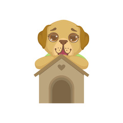 Puppy Standing Behind Kennel