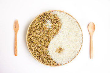 paddy and rice in the plante