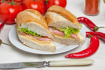 Italian panini sandwich.