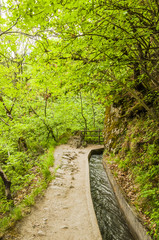 Marling, Dorf, Waalweg, Marlinger Waalweg, Wanderweg, Wald, Waldweg, Frühling, Frühlingswanderung, Vinschgau, Südtirol, Italien