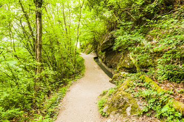 Obraz premium Marling, Dorf, Waalweg, Marlinger Waalweg, Wanderweg, Wald, Waldweg, Spazierweg, Frühling, Vinschgau, Südtirol, Italien