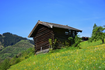 Kaprun, Schaufelberg, Straße, Heustadel, Hütte, Tradition, Wiese, Blumen