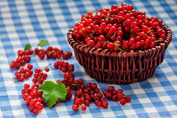 Redcurrant in wicker bowl on the table
