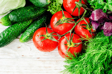 
Fresh juicy ripe summer useful vegetables and greens, red tomatoes , cucumbers , cabbage , lettuce , basil , parsley , dill and salt and spices on a wooden background
