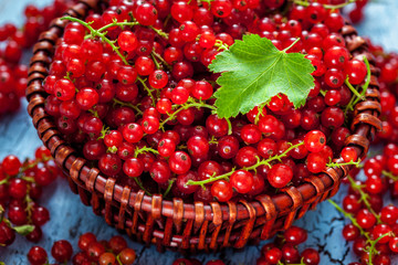 Redcurrant in wicker bowl on the table