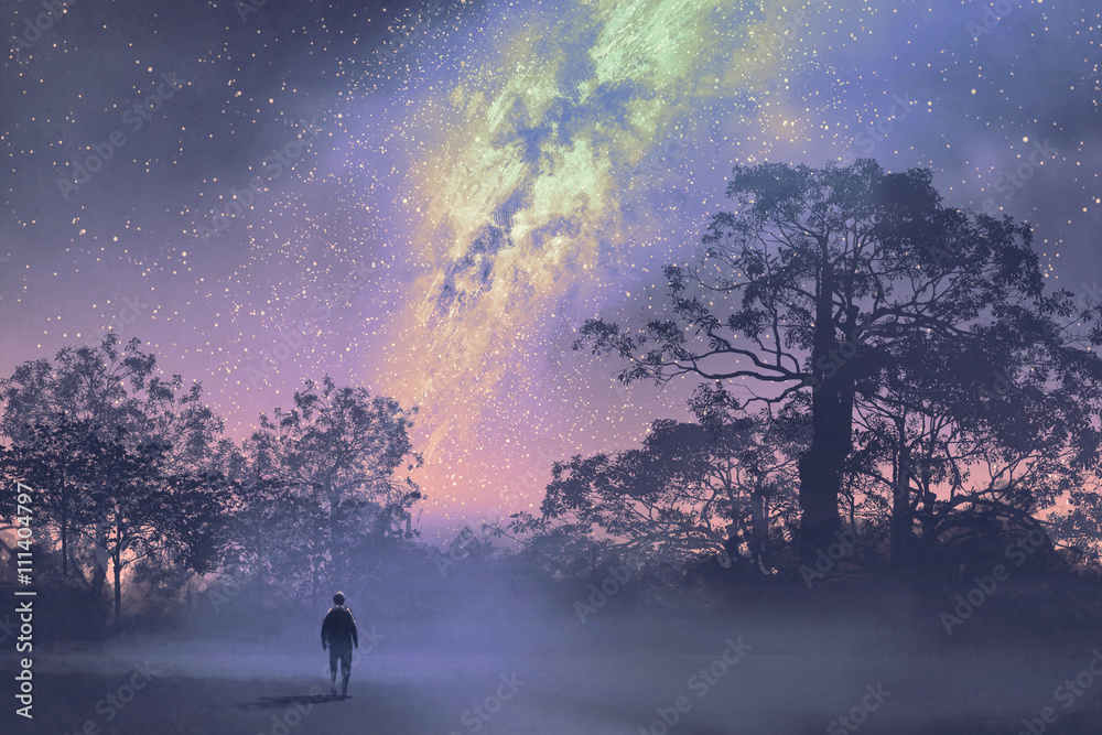 Wall mural man standing against the milky way above silhouetted trees,night sky,scenery illustration