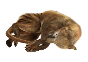 Obraz premium 3D Rendering Thylacine on White