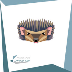 low poly animal icon. vector hedgehog