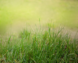 Abstract natural backgrounds with bokeh