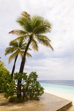 landscape with a tropical beach in the Maldives