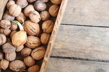 fresh walnuts in a wooden box