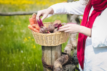 Fototapeta premium Girl with vegetable basket