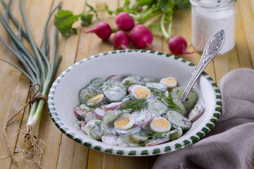 Salad of radish, cucumber and egg with dill, green onions and sour cream sauce on a wooden surface