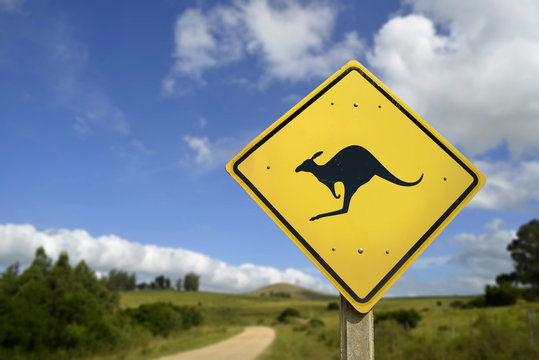 Kangaroo wild animal warning on road sign icon