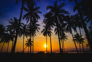 Fototapeta na wymiar Silhouette coconut palm trees on beach at sunset. Vintage tone