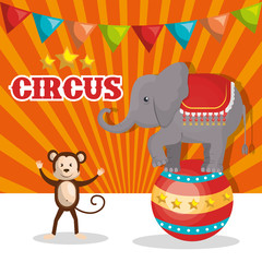 circus show design 