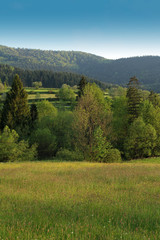 rural landscape in Gorce Mountains, Poland