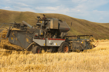 Harvester removes the ripened wheat crop on the field on the backdrop of picturesque mountains