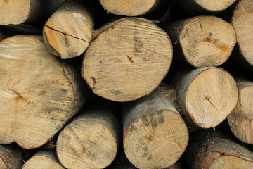 Fototapeta premium wood logs background