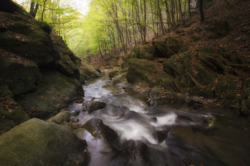 rocky river in natural forest
