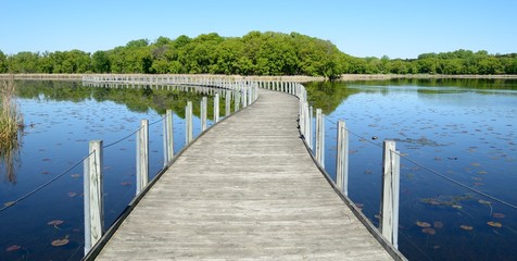 Boardwalk Across a Pond