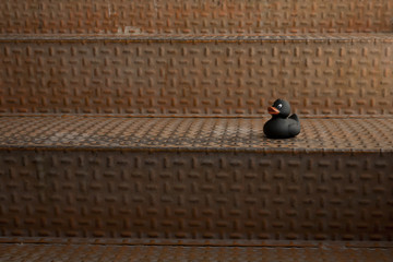 Black rubber duck toy placed on rusty metallic stairs