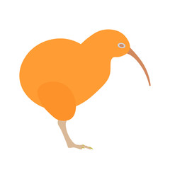 Kiwi bird vector illustration.