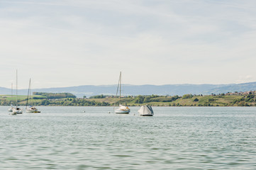 Murten, Murtensee, Seeufer, Mont Vully, M&ocirc;tier, Weinberge, Seerundfahrt, Sommer, Schweiz