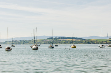 Obraz premium Murten, Murtensee, Seeufer, Mont Vully, Môtier, Schiffe, Weinberge, Seerundfahrt, Sommer, Schweiz
