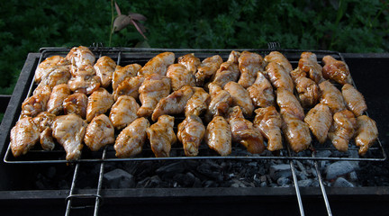 grilled chicken wings on the grill grate